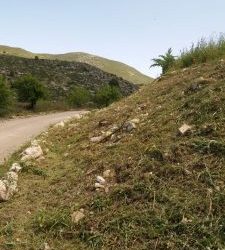 DESBROSSAMENTS DELS CAMINS