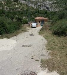 NETEJA DE CAMINS